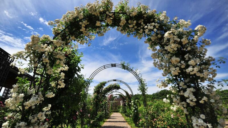 Come creare un arco da giardino?