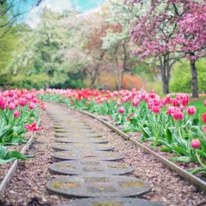 Suggerimenti per preparare il giardino all’estate: i consigli di Ezooza