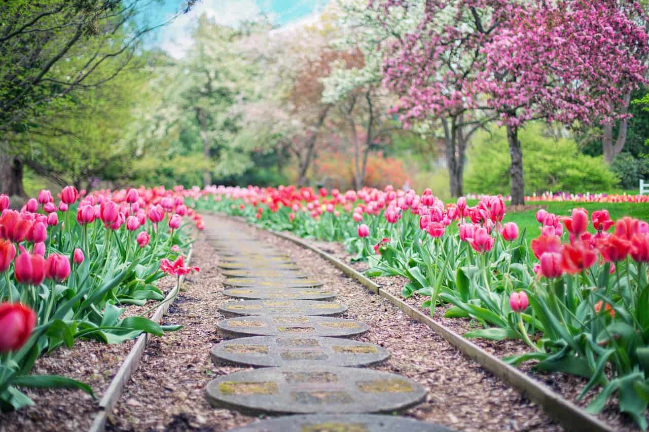 Suggerimenti per preparare il giardino all’estate: i consigli di Ezooza