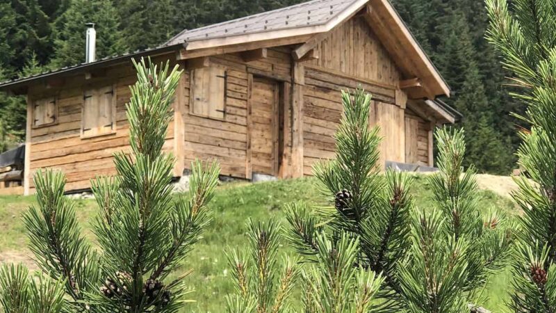 Come scegliere e valutare l’orientamento di una casa