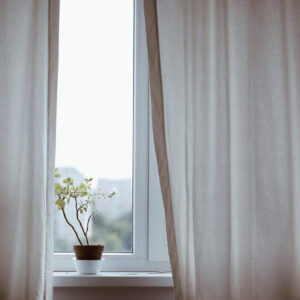 Decorare con le piante: quali scegliere e come abbinarle