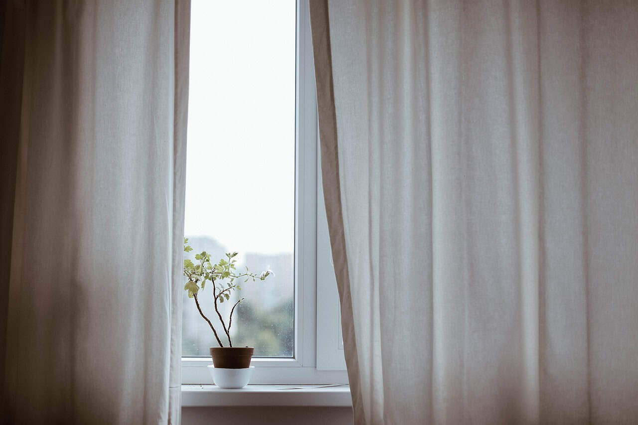 Decorare con le piante: quali scegliere e come abbinarle